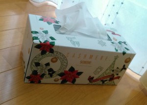 クリスマスバージョンのカシミアスコッティ